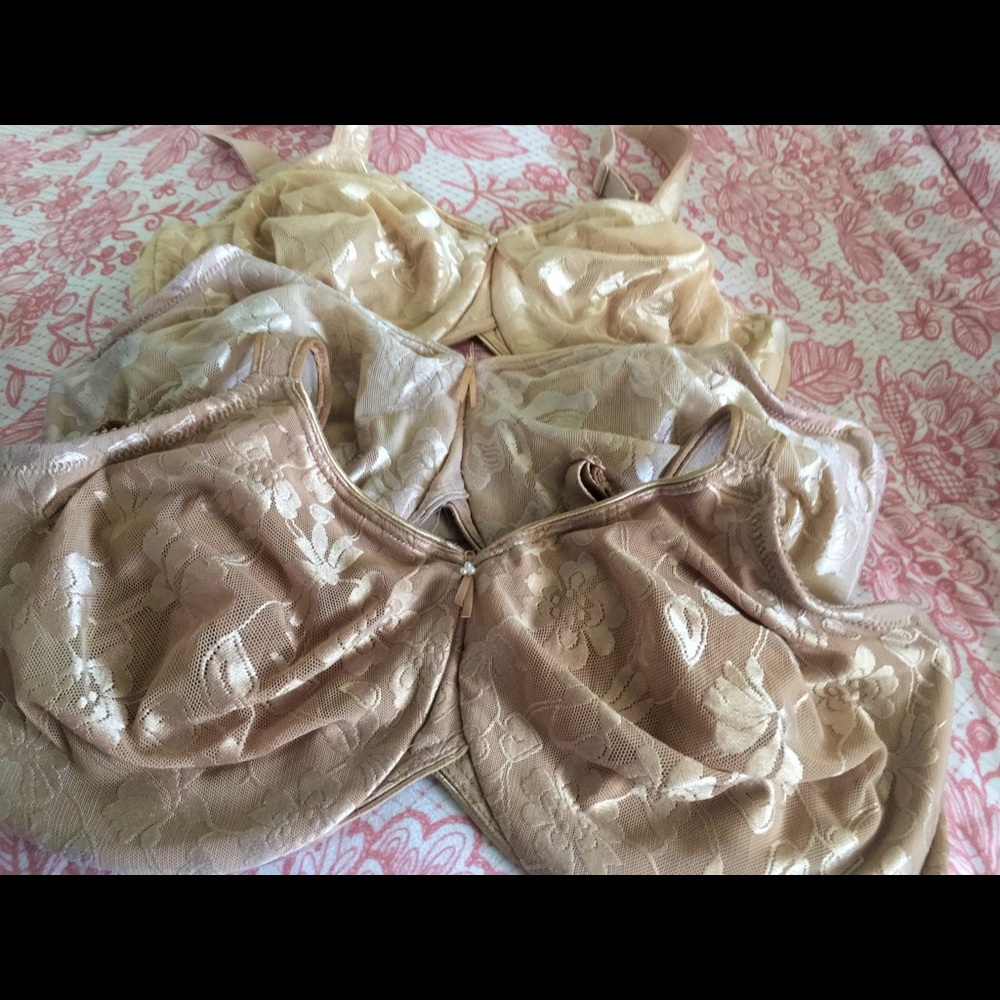 WACHOL BRA BUNDLE